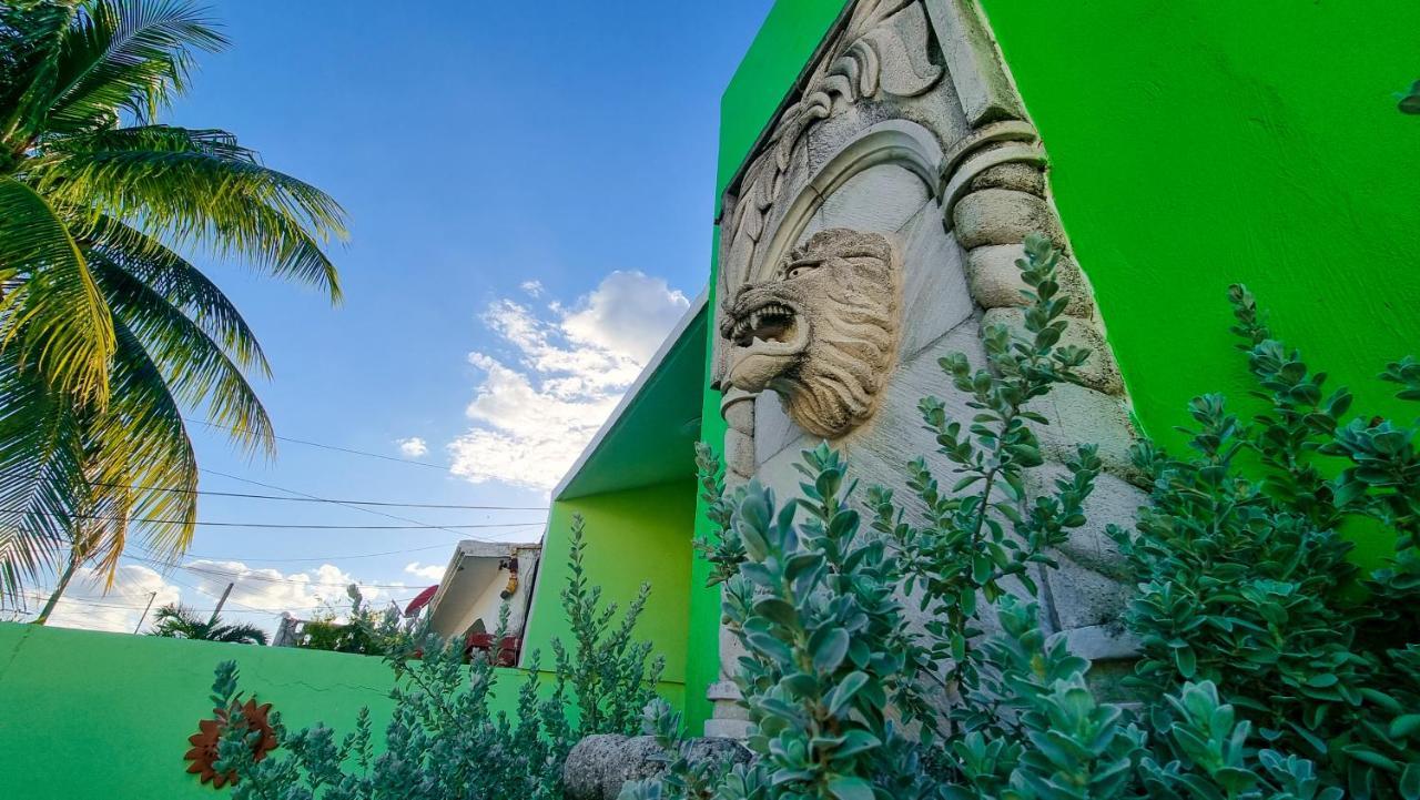 Villa Leo Cancun Downtown المظهر الخارجي الصورة