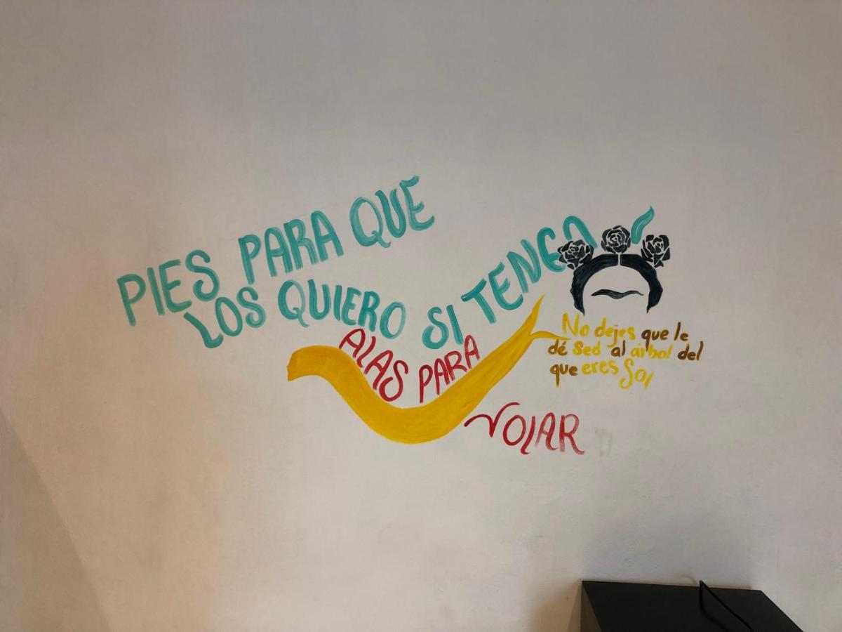 Villa Leo Cancun Downtown المظهر الخارجي الصورة